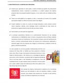 Características de Multinacionales y Modalidades de los NI