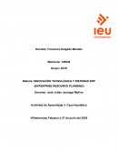 INNOVACIÓN TECNOLÓGICA Y SISTEMAS ERP (ENTERPRISE RESOURCE PLANNING)