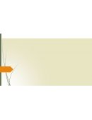 Trigonometría Básica