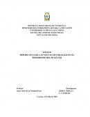 Importancia de las Nuevas tecnologias en el periodismo