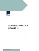 Taller de emprenderores semana 12