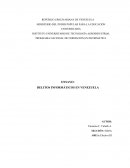 Delitos Informáticos en Venezuela