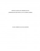 IMPORTANCIA DE LOS ARCHIVOS