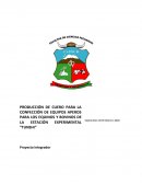 PRODUCCIÓN DE CUERO PARA LA CONFECCIÓN DE EQUIPOS APEROS PARA LOS EQUINOS Y BOVINOS DE LA ESTACIÓN EXPERIMENTAL “TUNSHI”