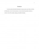 Peligro en las redes sociales