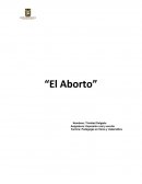 Ensayo “El Aborto”