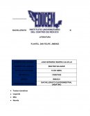 ENSAYO LITERATURA. Textos narrativos