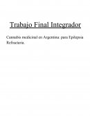 Cannabis medicinal en Argentina: para Epilepsia Refractaria