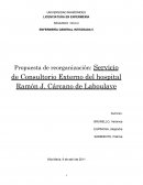 Propuesta de reorganización: Servicio de Consultorio Externo del hospital Ramón J. Cárcano de Laboulaye