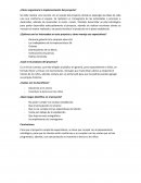 ¿Cómo organizaría la implementación del proyecto?