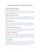 EJEMPLOS DE GARANTIAS CONSTITUCIONALES