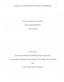 Taller de conceptualización y teorización