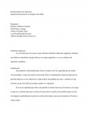 Parrila de induccion