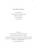 Breve historia de la agriculltura