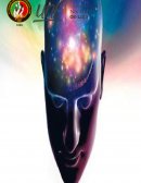 ESTADOS DE LA CONCIENCIA