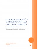 CASOS DE APLICACIÓN DE PRODUCCIÓN MÁS LIMPIA EN COLOMBIA