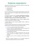 Histología Sistema Respiratorio