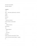 Algoritmos Caso practico