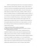 ADIDAS, su modelo de sustentabilidad