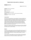 TRABAJO PRÁCTICO FINAL DIDACTICA Y CURRICULUM