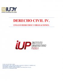 ENSAYO DERECHOS Y OBLIGACIONES. Página 1