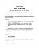 Lengua Castellana ¡Leer es la clave!