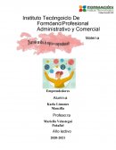 DESARROLLE SU IDEA DE NEGOCIO O EMPRENDIMIENTO