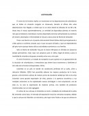 PLAN EXPORTADOR UCHUVAS EN ALMIBAR