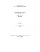 Inspector de obra área de calidad