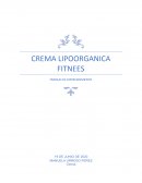 CREMA LIPOORGANICA FITNEES