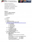 CUENTAS Y LIBROS CONTABLES