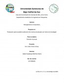 Evaluación para la posible sustitución de la harina de pescado con harina de microalgas