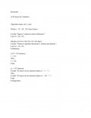 Seudocodigos en pseint