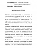 MACROECONOMIA Y DEUDAS