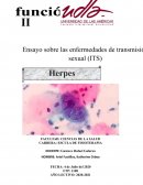 Ensayo sobre los ITS (HERPES)