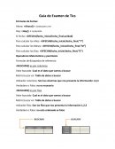 Guía de Examen de Tics