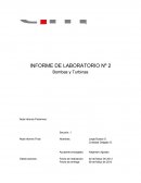INFORME DE LABORATORIO Nº 2 Bombas y Turbinas