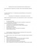 Evaluacion empresa Calzado Shoes, S.A