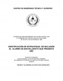 IDENTIFICACIÓN DE ESTRATEGIAS DE INCLUSIÓN AL ALUMNO DE BACHILLERATO QUE PRESENTA NEE