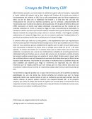 El multiverso