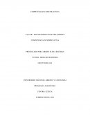 CUADRO DEL RECONOCIMIENTO DEL AULA