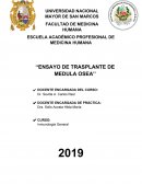 ENSAYO DE INMUNOLOGÍA TRASPLANTE DE MÉDULA ÓSEA