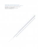 Definiedo el mercado meta Leche LALA