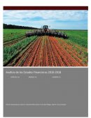 Sector agroindustrial. ANÁLISIS DE LOS ESTADOS FINANCIEROS 2010-2018