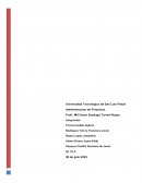 Negocios, plan de ventas de la empresa immsa