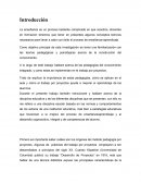 PRINCIPIOS PEDAGÓGICOS DEL TRABAJO POR PROYECTOS