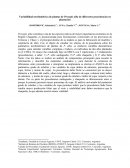 Variabilidad morfométrica de plantas de Prosopis alba de diferentes procedencias en plantación