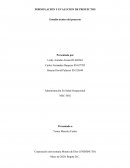 Actividad 3 formulación de un proyecto