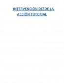 Informe: Programa Bullying