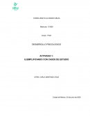 Teorías de desarrollo psicopedagogía